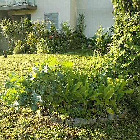 Rochas Shared Apart Garden Refuge Funchal  Exterior photo